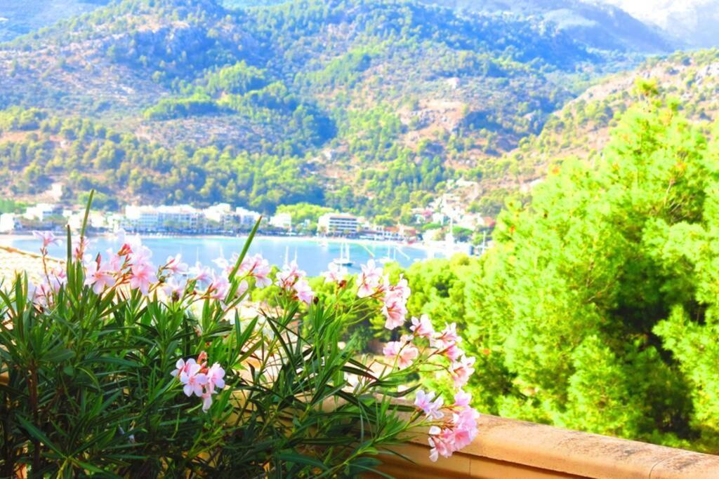 Apartamento Gran Terraza Privada Y Vistas Al Mar Puerto de Sóller Ngoại thất bức ảnh